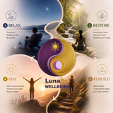 Balance Path Starter Guide