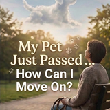 My Pet Just Passed: How Can I Move On? (e-book)